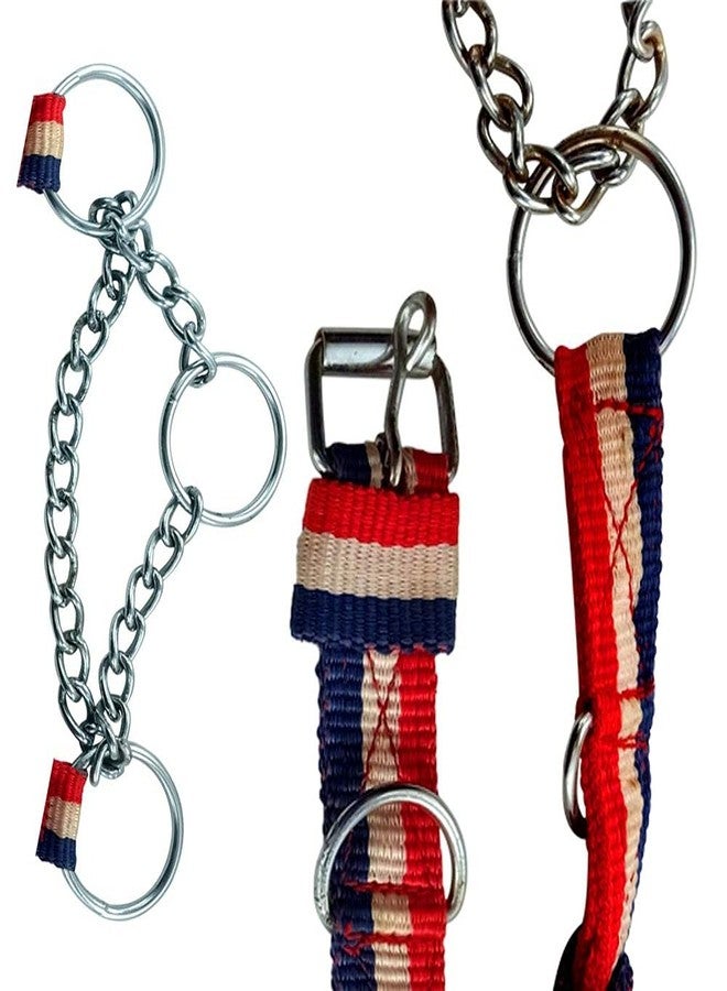 DIY Crafts DIY DIYC-13727 Crafts Nylon Belt Dog Collar Pet Belt Dno# 1 (Pack of 5 Pcs, Multi) - Image 2